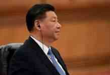 Сі Цзіньпін провів телефонну розмову з Макроном. Обговорили ситуацію в Україні