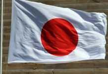 Японія запускає програму з працевлаштування українських біженців