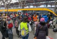 У Німеччині можуть прискорити визнання професійної кваліфікації українців