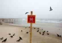 В Одесі на узбережжя винесло міну. Її планують підірвати, – ОДА