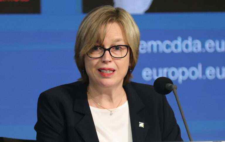 У Європолі стурбовані поставками озброєння до України: в чому причина