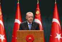 Зеленський провів переговори з Ердоганом: перші подробиці розмови