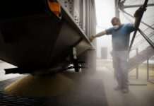 Мільйони тонн зерна заблоковані в портах України, – ООН