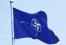 НАТО розпочинає військові навчання на території Польщі та ще 8 країн блоку