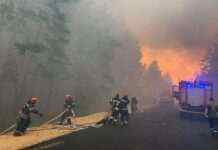 Через обстріли РФ у Донецькій області масово горять ліси