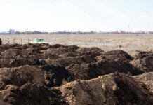 Окупанти завозять до Маріуполя хлор, щоб приховати воєнні злочини, – мерія