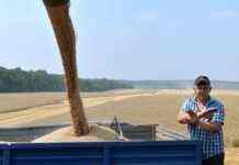 У МЗС відреагували на спроби РФ продати на світовому ринку вкрадене українське зерно