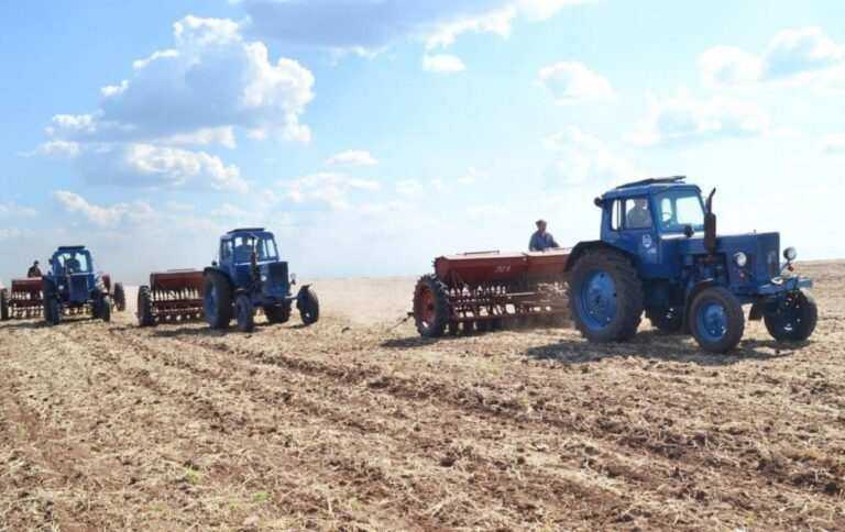 В Україні очікується врожай зернових на рівні 65% минулорічного, – експерт