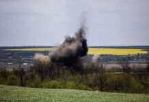 У Київській області двоє чоловіків підірвалися на протипіхотній міні