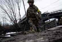 ЗСУ на Донбасі відбили 17 атак і знищили понад 80 окупантів