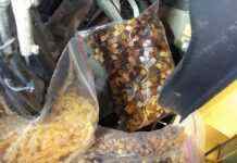 На Буковині прикордонники завадили вивезенню з України чималої партії бурштинових виробів