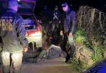 На Закарпатті затримали організаторів незаконного переправлення ухильників через кордон