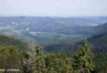 Пролетів 80 метрів. У Карпатах з гори зірвався турист