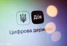 У “Дії” з’явилася нова послуга для ФОПів: як нею скористатися