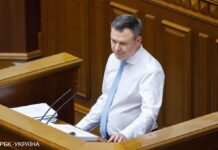 “Прийде час і для літаків”. Завітневич про постачання озброєнь від союзників