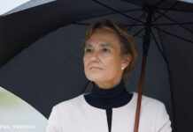 Коли до України надійдуть німецькі гаубиці: відповідь посла