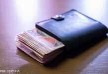 Мінімум вакансій та зниження зарплат: що відбувається на ринку праці в Україні