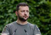 Зеленський схвалив ратифікацію Стамбульської конвенції