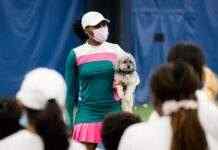 Вінус Вільямс виступить на Вімблдоні-2022 в міксті з братом улюбленця публіки