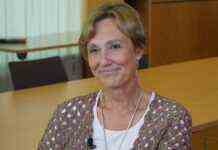 Німеччина передасть Україні до 3,5 млн євро: на що підуть гроші