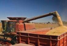 Урожай наступного року в Україні може скоротитися на 40%, – Мінагрополітики