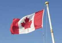 Канада оголосила про нову військову допомогу Україні: що планує передати