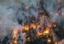 Лісові пожежі в Іспанії: 11 сіл евакуйовано, задіяно понад 500 рятувальників