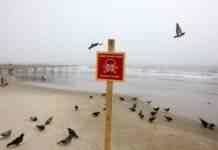 У Коблевому біля берега здетонувала морська міна