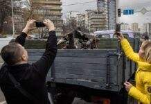 Як правильно і безпечно відправляти заявки в чат-бот “єВорог”: відеоінструкція