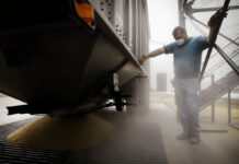 Окупанти перевозять до Криму викрадене у Запорізькій області зерно