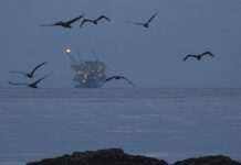 Нафта продовжує дорожчати після досягнення тримісячного максимуму