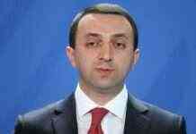 Грузія заслуговує більше, ніж Україна і Молдова, – Гарібашвілі про статус кандидата в ЄС