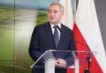 У Польщі розповіли, скільки займе будівництво сховищ для українського зерна