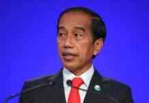 Президент Індонезії відвідає Київ і Москву, має намір просити Путіна припинити вогонь