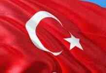 Туреччина створила відкритий канал зв’язку з Україною і РФ для вирішення зернової кризи