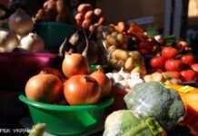 Чи буде в Україні дефіцит продуктів: чого чекати влітку