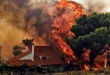 Лісові пожежі в Афінах. Спалені будинки, задіяні шість літаків