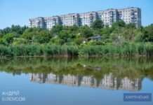 У Кам’янському впорядкують місцевий ставок