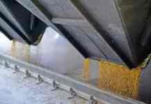 У Туреччині пояснили, що заважає вивезенню зерна з України