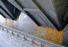 Молдова зняла заборону на експорт пшениці та борошна