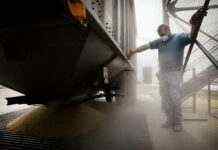 У СОТ підтримали Україну і пообіцяли допомогти з експортом зерна