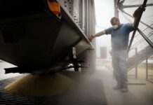 У США розповіли про тимчасовий порятунок експорту українського зерна