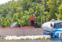 Попри воєнний стан у Кам’янському слідкують за чистотою та порядком