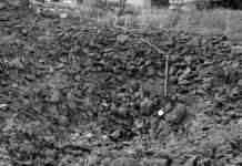 Війська РФ обстріляли Запорізьку область: пошкоджена агрофірма