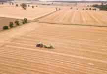 Підсумки першого року роботи ринку землі: скільки в середньому коштує гектар