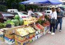 В Україні активно збирають врожай: аналітик назвала продукти, які подешевшають у серпні