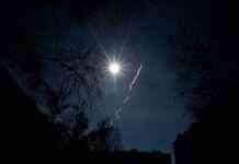 ЗСУ збили російський безпілотник “Мерлін-ВР”, – ОК “Південь”