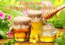 Мер Камʼянського звернувся до містян та привітав із Яблуневим Спасом