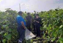 Над Харківською областю збили російську ракету