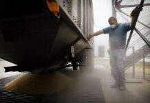 СБУ встановила колаборантів, які допомагали росіянам вивозити українське зерно